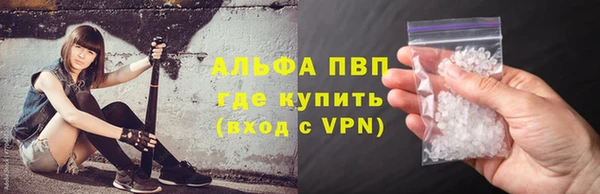 СК Белокуриха