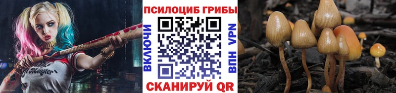 Галлюциногенные грибы Cubensis  купить закладку  Конаково 